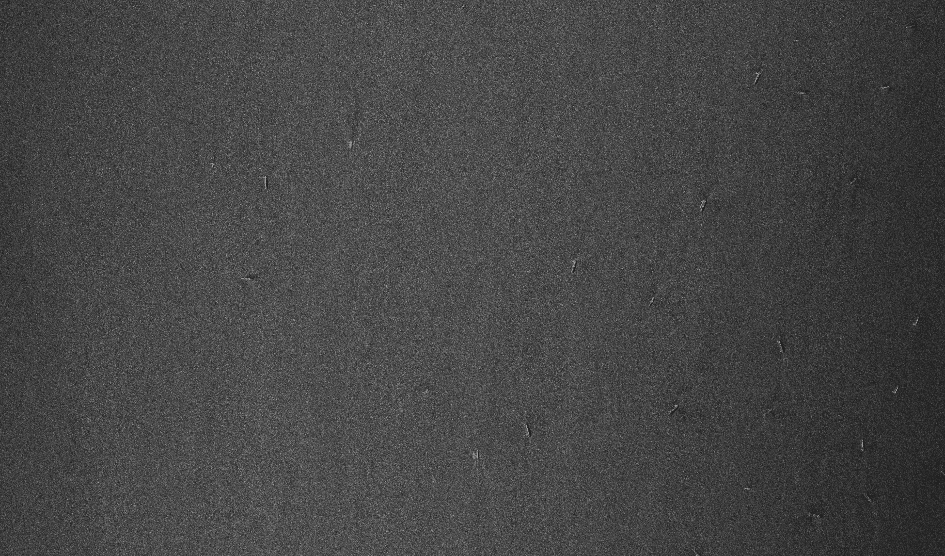 SAR Satellite Imagery - VV Polarization